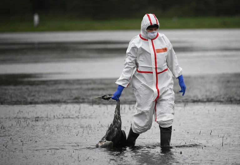 H9N2 Bird Flu: A Rising Threat to Human Health
