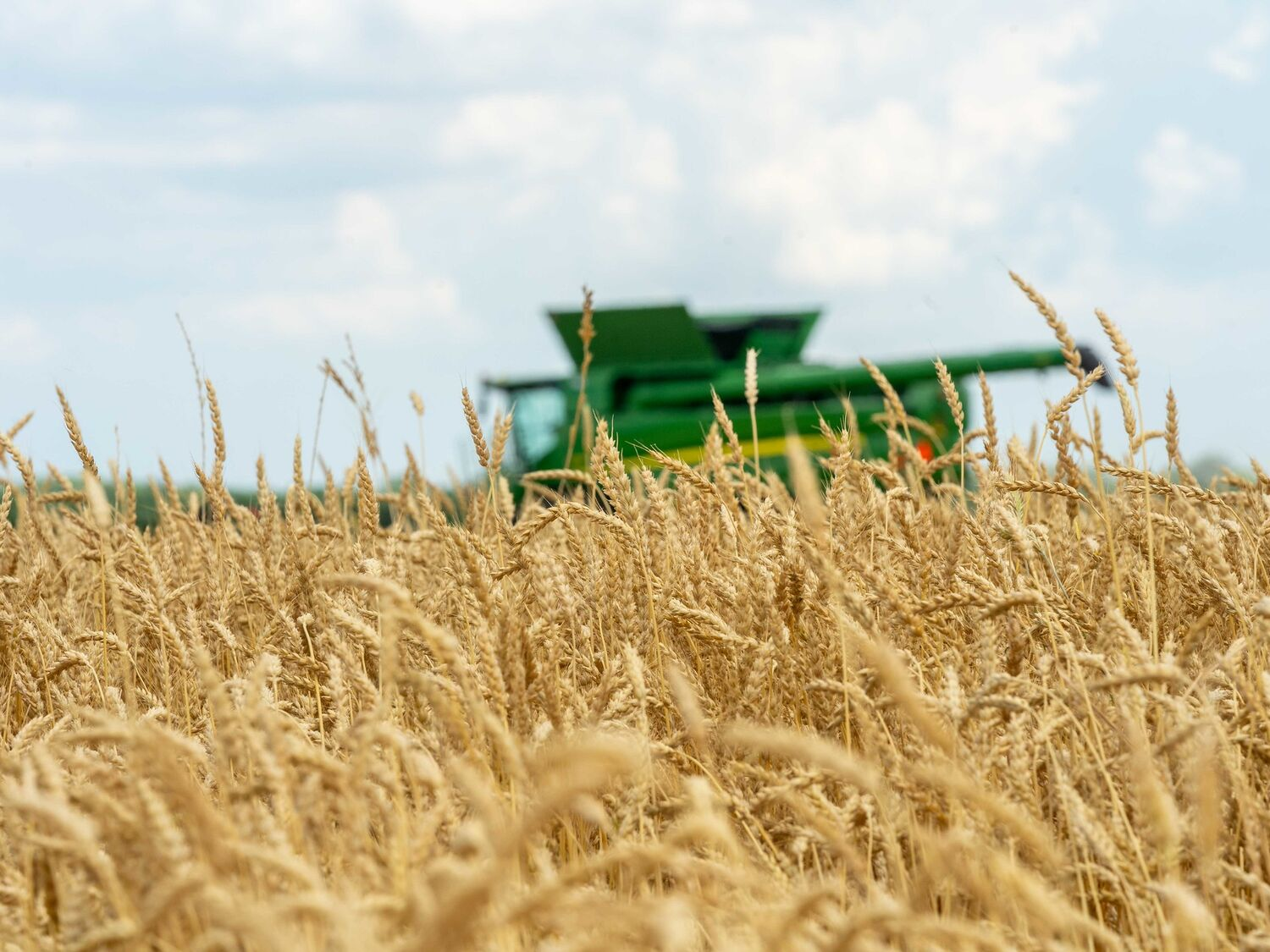 Addressing PFAS Contamination in Agriculture: A Strategic Roadmap