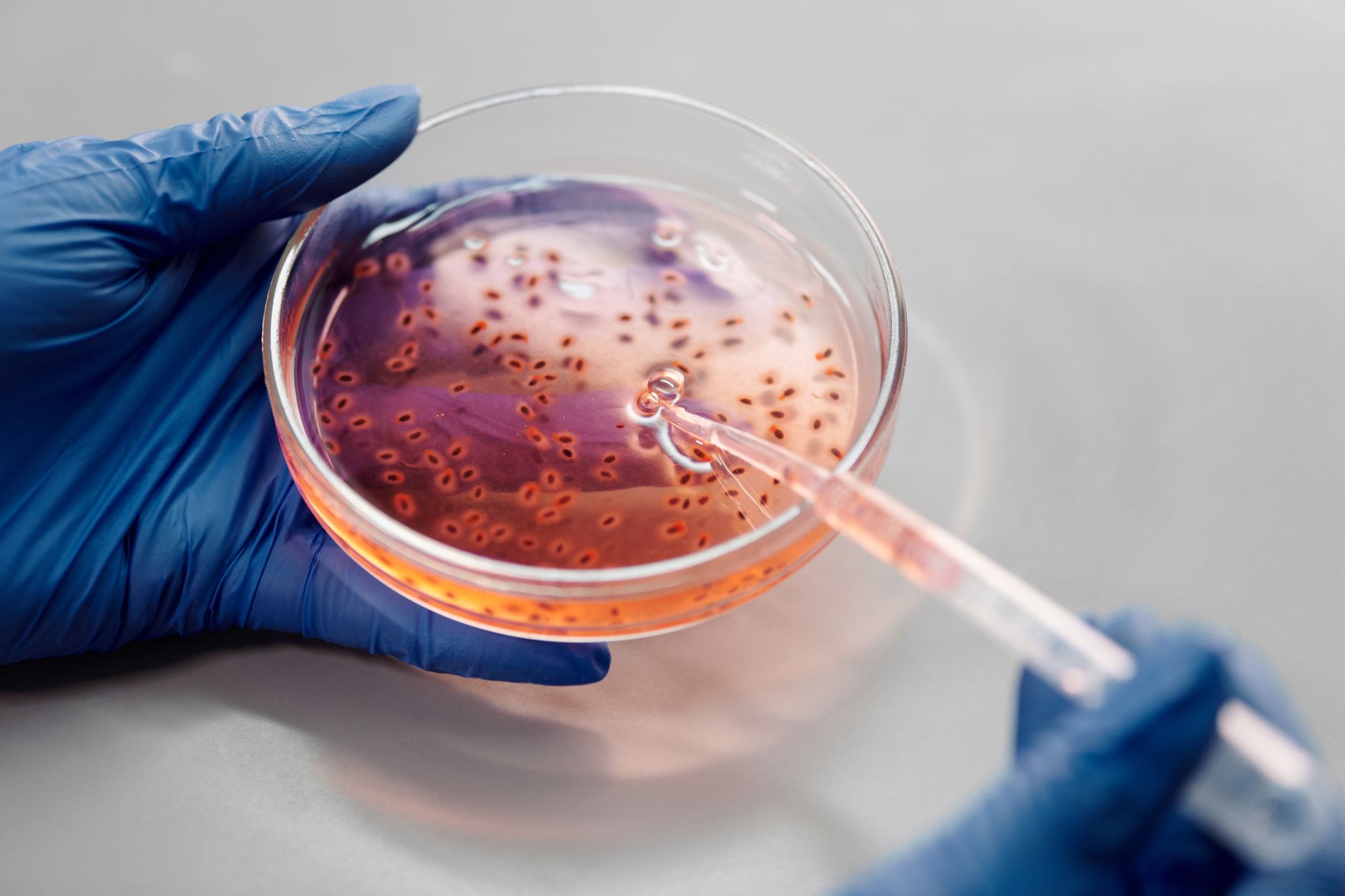 MIT Lincoln Laboratory Hosts Biotechnology Security Commission Roadshow Discussion